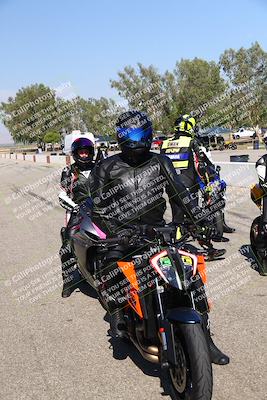 media/Aug-03-2024-TrackDaz (Sat) [[30bed884ff]]/C Group/Grid/